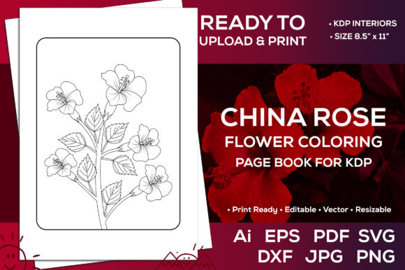 China Rose Flower Coloring Page Book Kdp: Graphics for Kdp Interiors