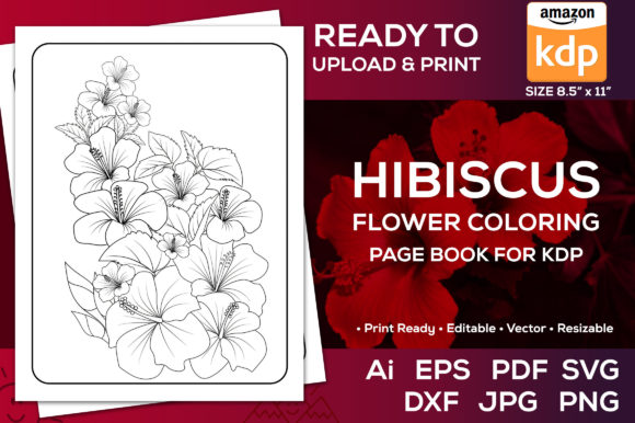 Hibiscus Flower Coloring Book Pages KDP Graphics