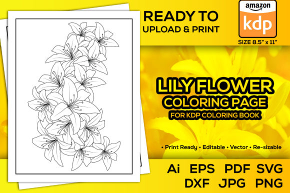 Lily Flower Coloring Pages for Kdp Book