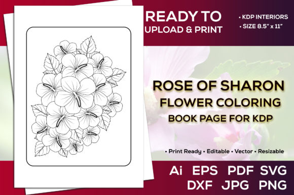 Rose of Sharon Flower Coloring Book Page: Graphics for Kdp Interiors